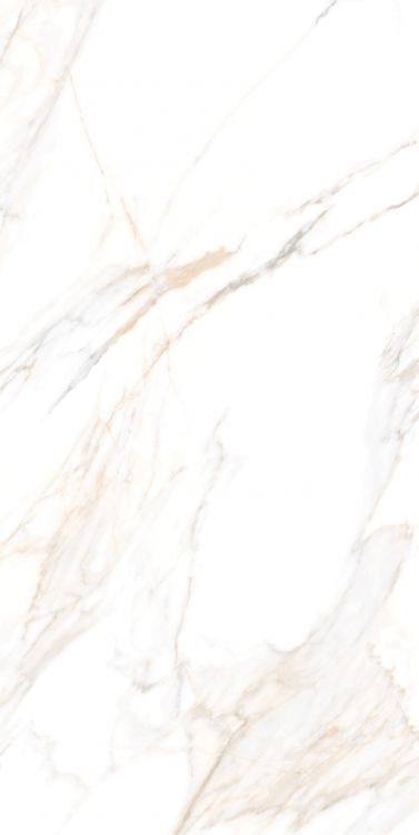 Aurum Calacatta Polished 24 x 48